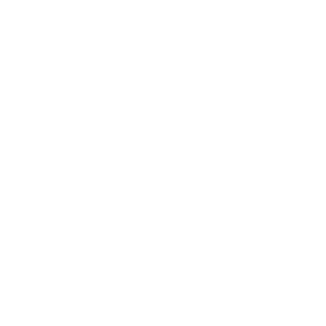 C++